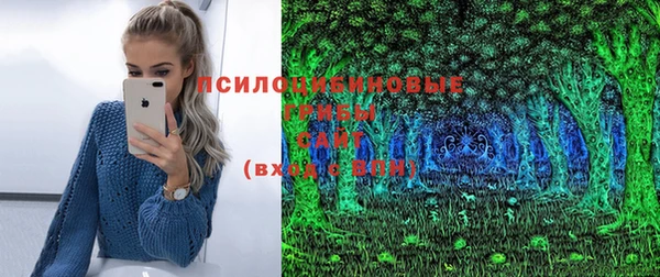 винт Абинск
