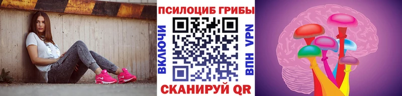 Псилоцибиновые грибы Cubensis Княгинино